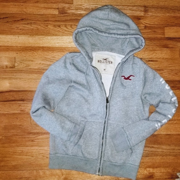 Abercrombie & Fitch Other - Hollister Full-Zip Icon Hoodie